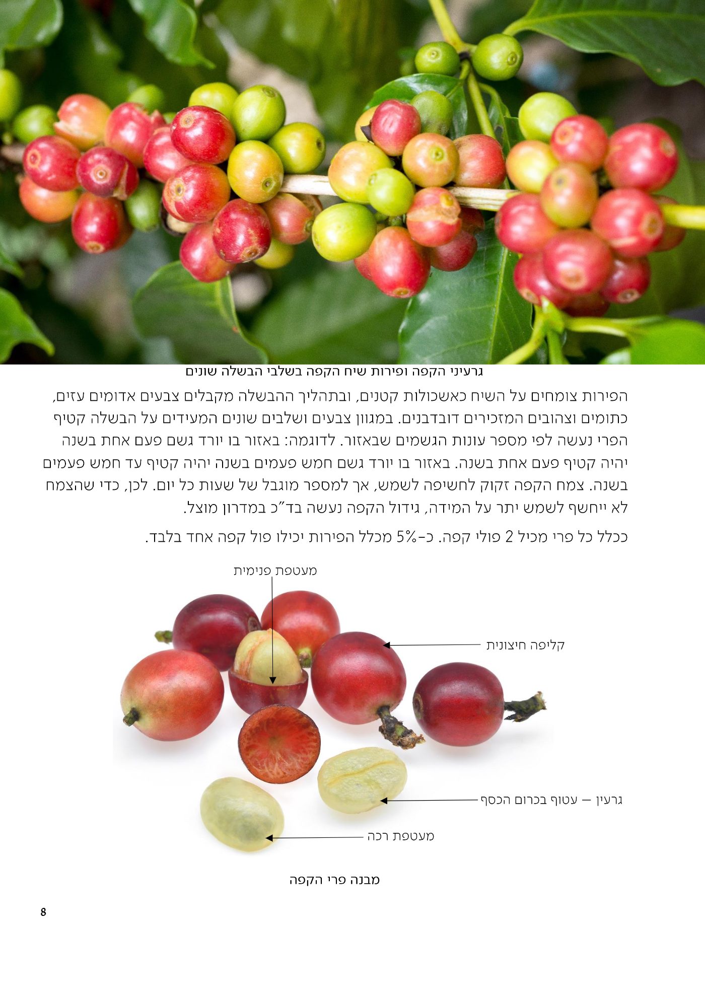 עמוד 8 מתוך 68