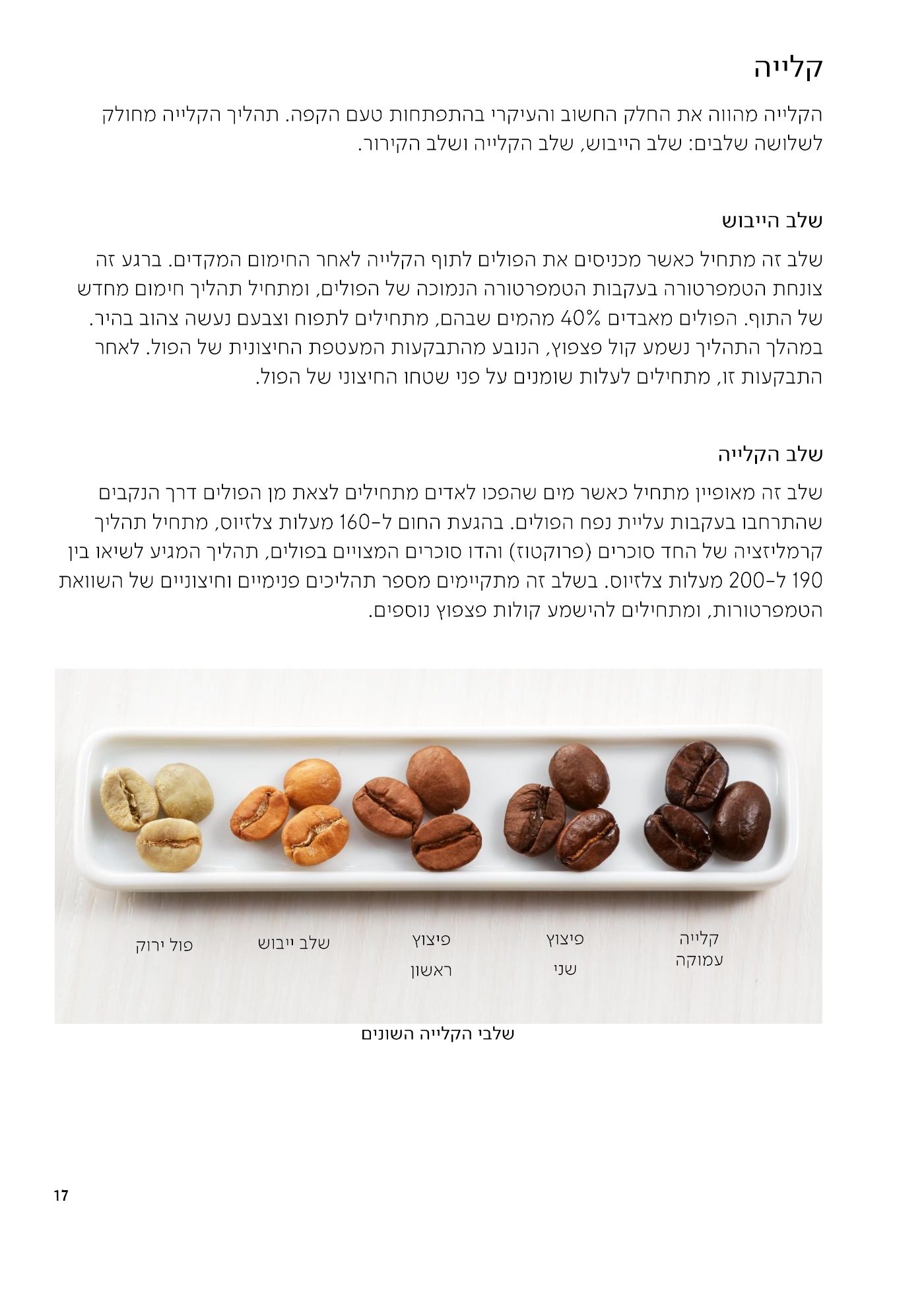 עמוד 17 מתוך 68