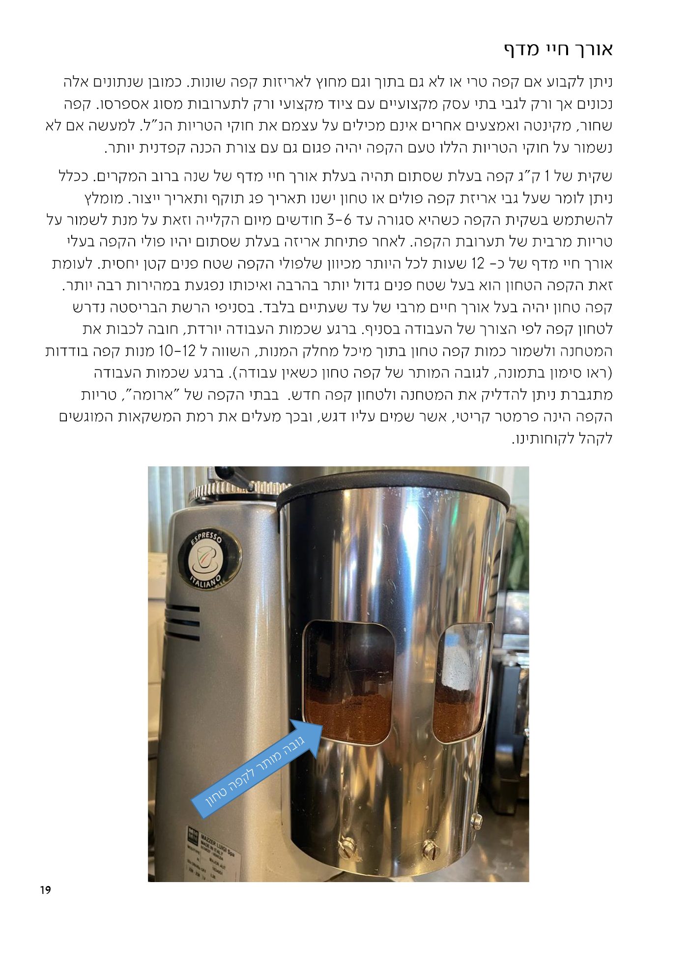 עמוד 19 מתוך 68